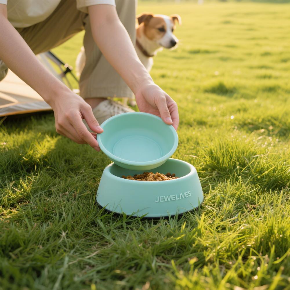 Silicone Pet Bowl 2
