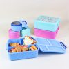 4 Comparment Lunch Bento Box